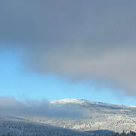Hotel Termy Karkonosze & Kolo Karpacza *