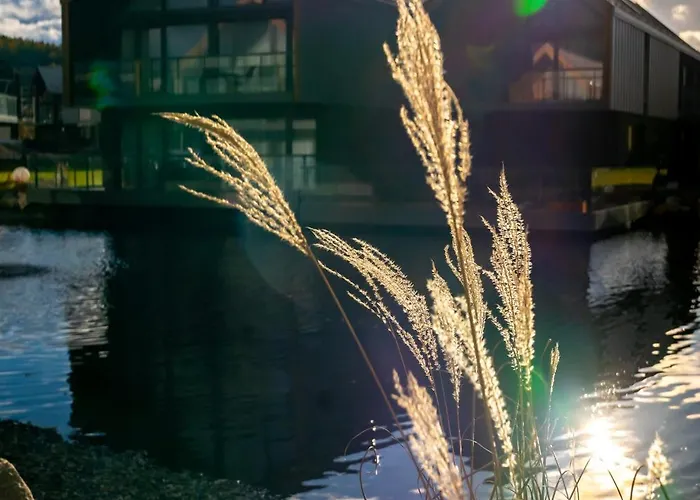 Termy Karkonosze & Kolo Karpacza * Jelenia Gora